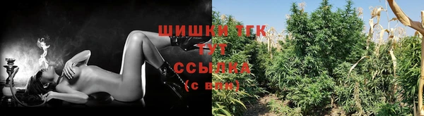 гашик Инта