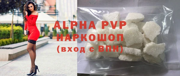 гашик Инта