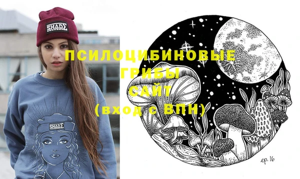молекула духа Инсар
