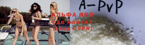 гашик Инта