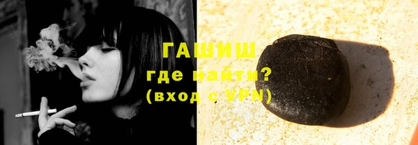 гашик Инта