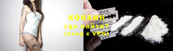 гашик Инта