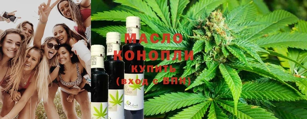 гашик Инта