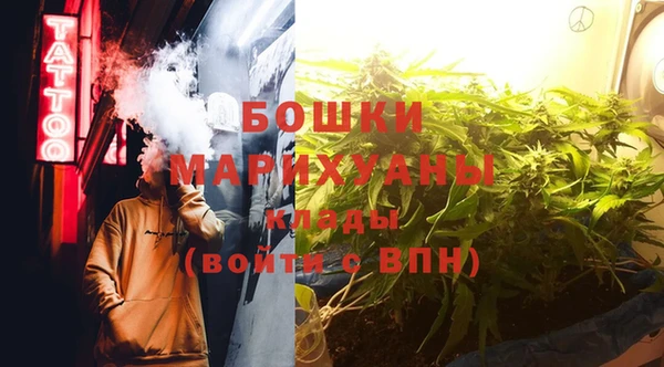 гашик Инта