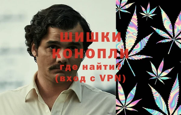 гашик Инта
