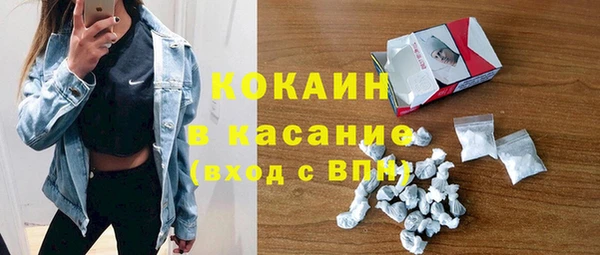 молекула духа Инсар