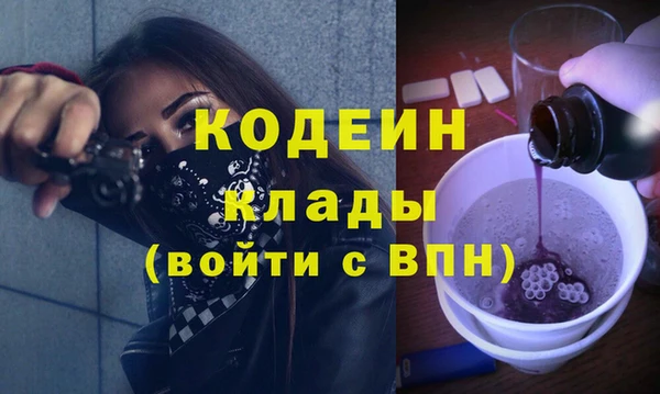 молекула духа Инсар