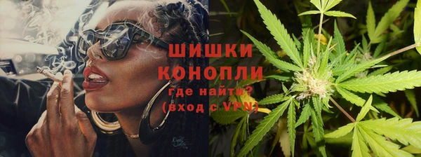 молекула духа Инсар