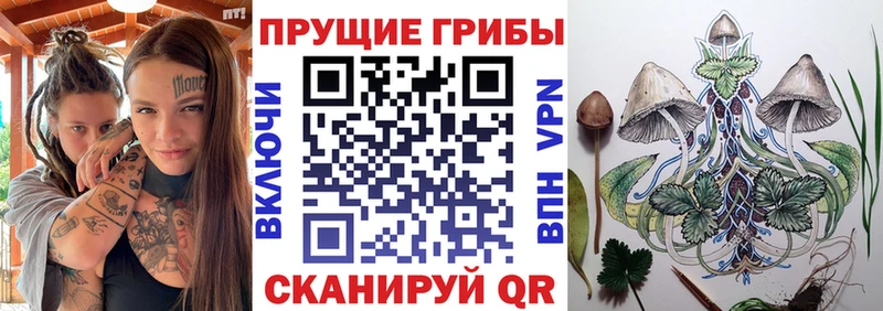 Галлюциногенные грибы Psilocybine cubensis  кракен tor  Новочебоксарск 